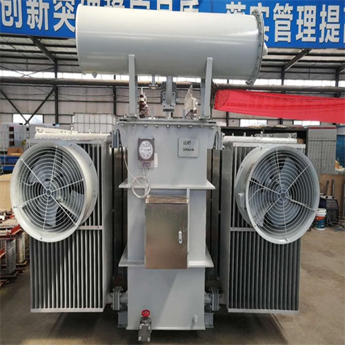 巧家S20-8000KVA变压器